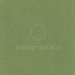 Palmera --- Λαδί