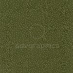 Palmera --- Λαδί