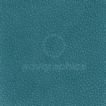 Palmera --- Πετρόλ