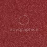 Palmera --- Βουργουνδί