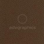 Palmera --- καφέ καρυδιάς