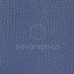 Sinatra --- Μπλε Ραφ