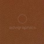 Sinatra --- Ταμπά