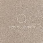 Sinatra --- Μόκα