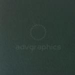 Verona --- Πράσινο κυπαρισσί